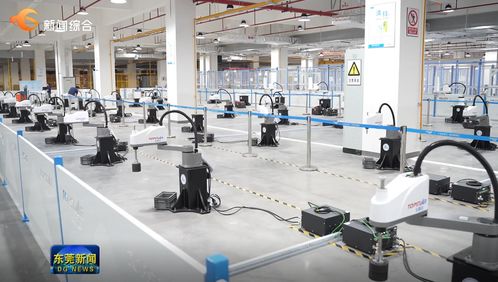 東莞要聞 影視拍攝新熱點(diǎn)